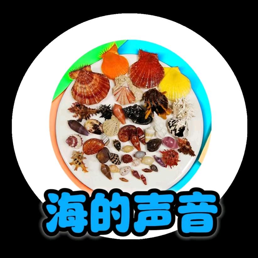 海的声音DIY手作