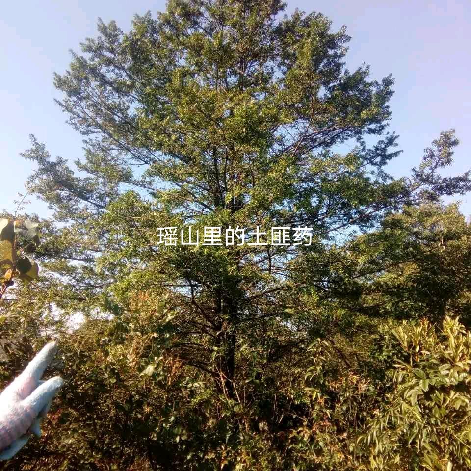 广西嘉恒建筑装饰有限公司