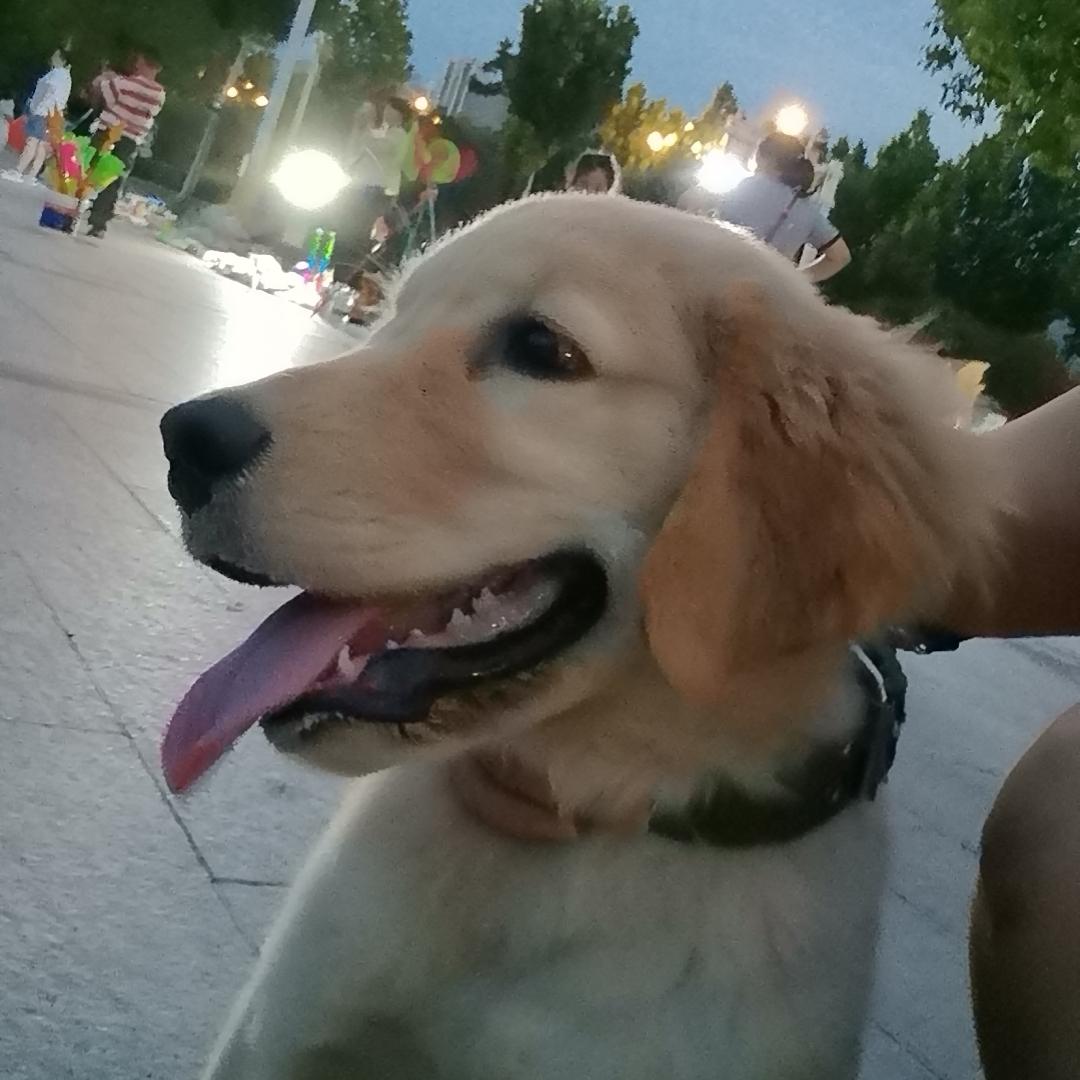 璀璨闪耀