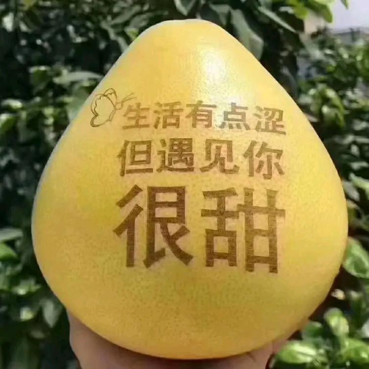 柚子哥