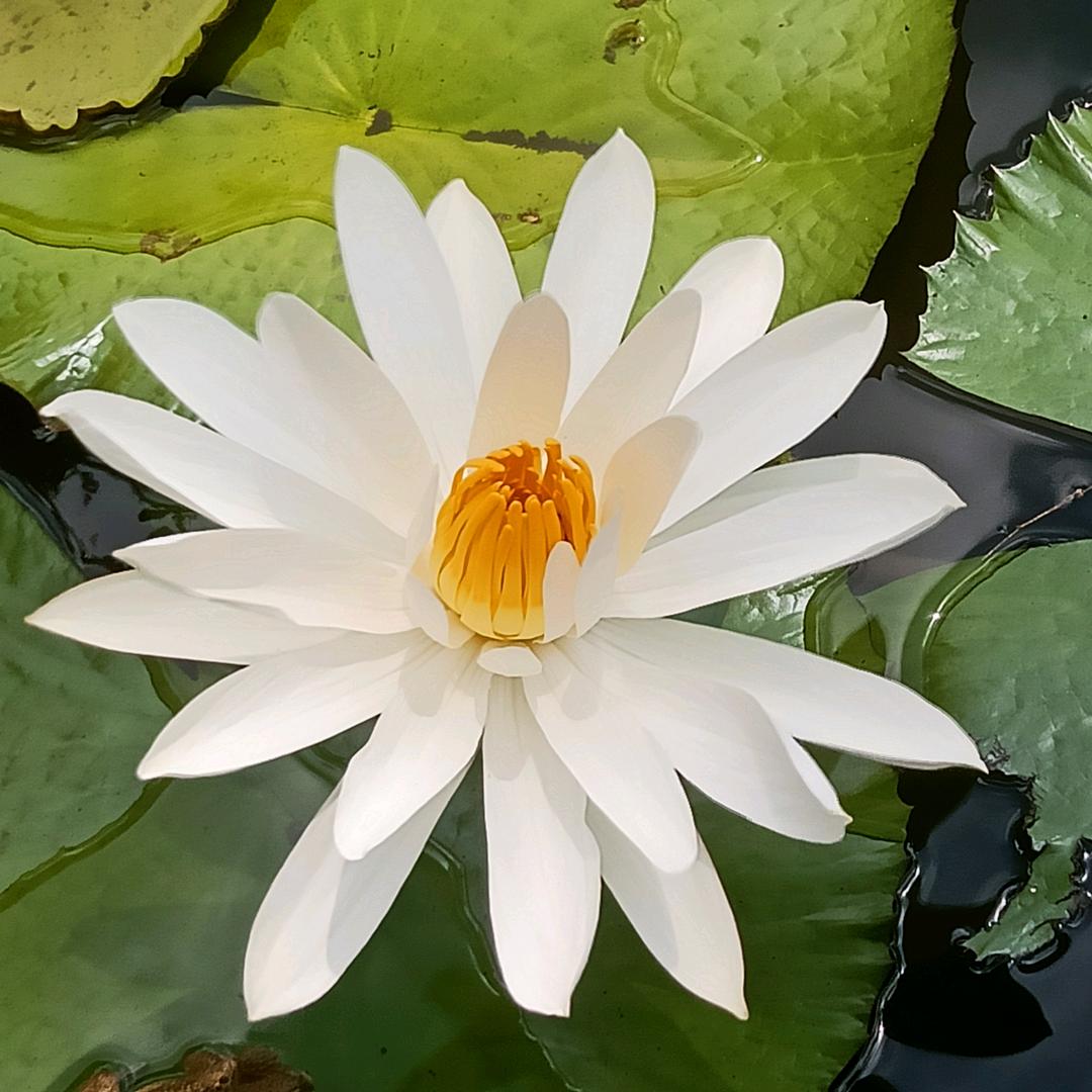 🦋ઈ偏爱꧔💞⃨ʚᩚଓ⁵²⁰