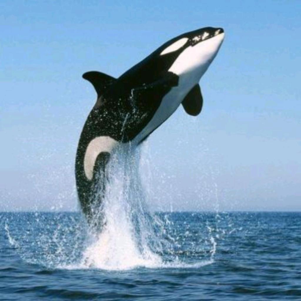 海洋世界