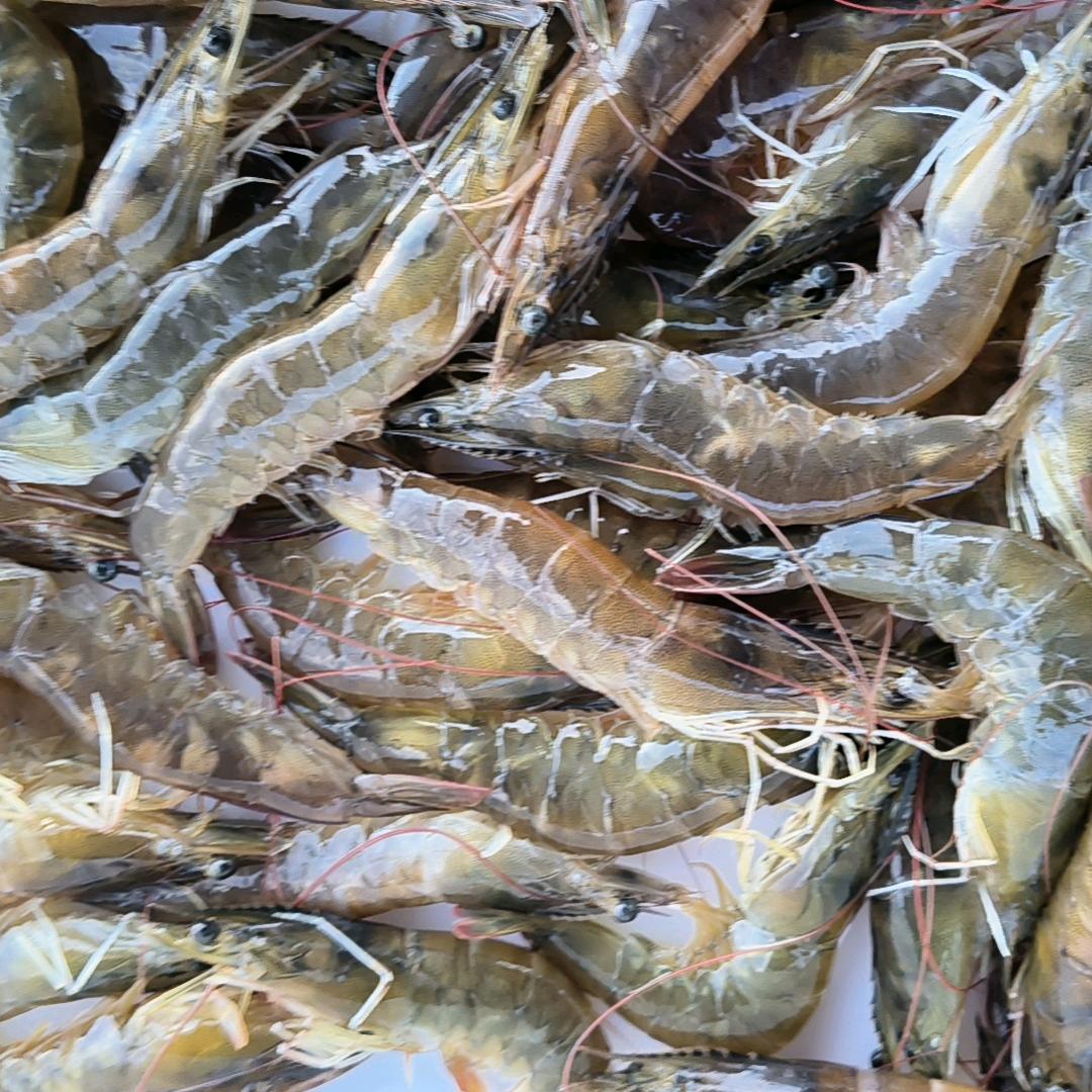 AA小王海鲜