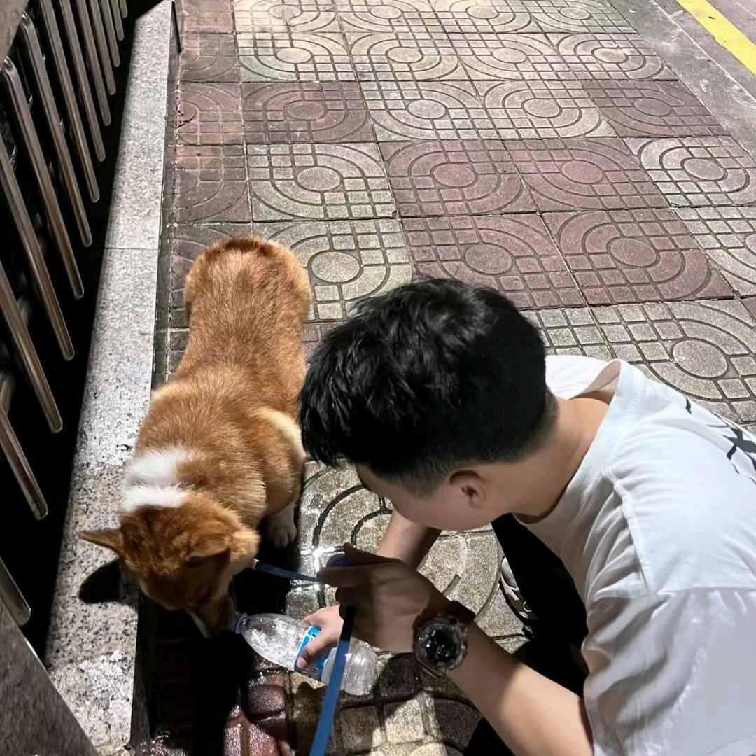 就慢一点　   　　🪳