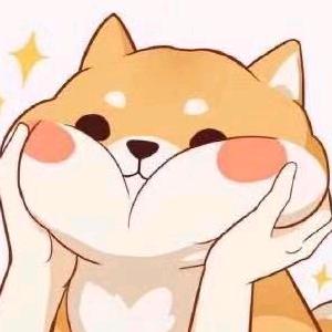我家有个小齐