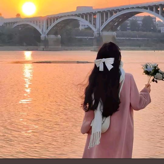 浪漫樱花🌸🌸