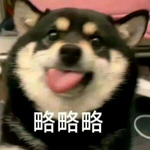 yang头像