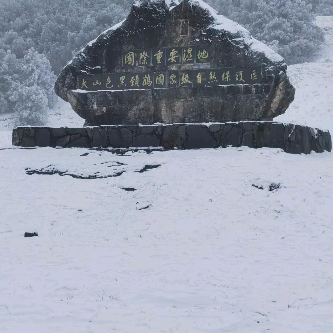 SIKENAI思科耐数码(棣坊村店)