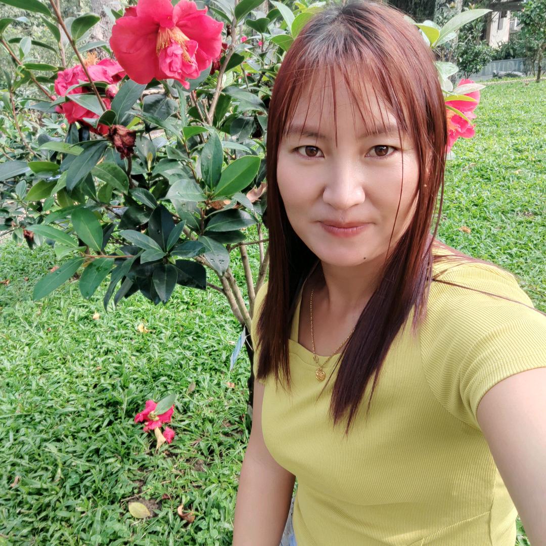小燕子。