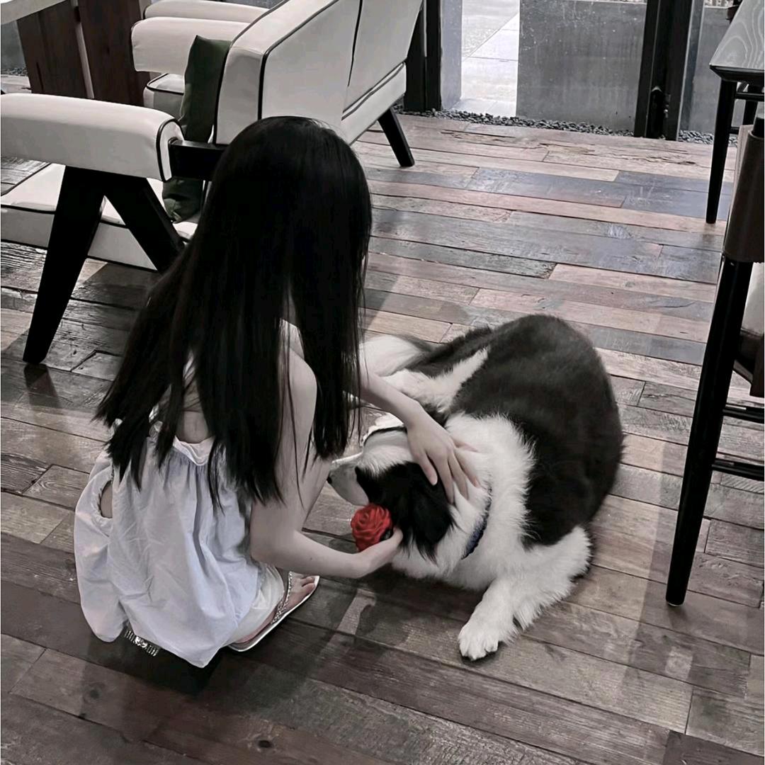 狗狗（声音鉴定）