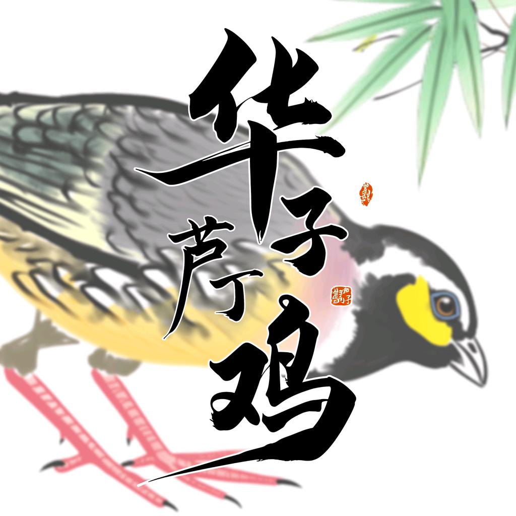 华子芦丁鸡