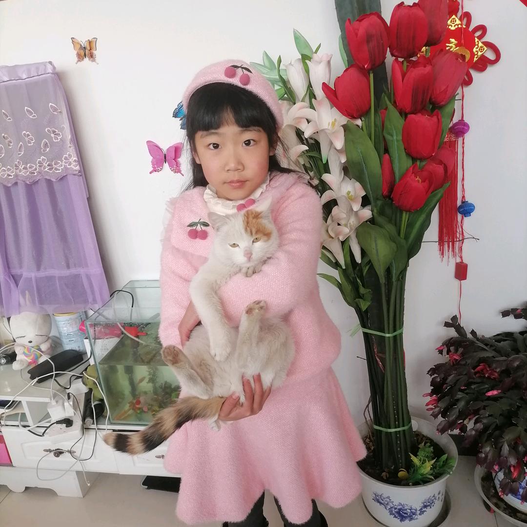 风飞沙
