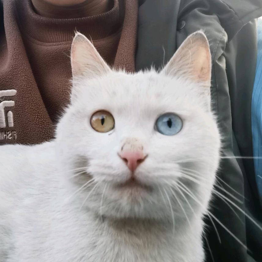 🐮⁰⁷.₁₉玉林℘࿐