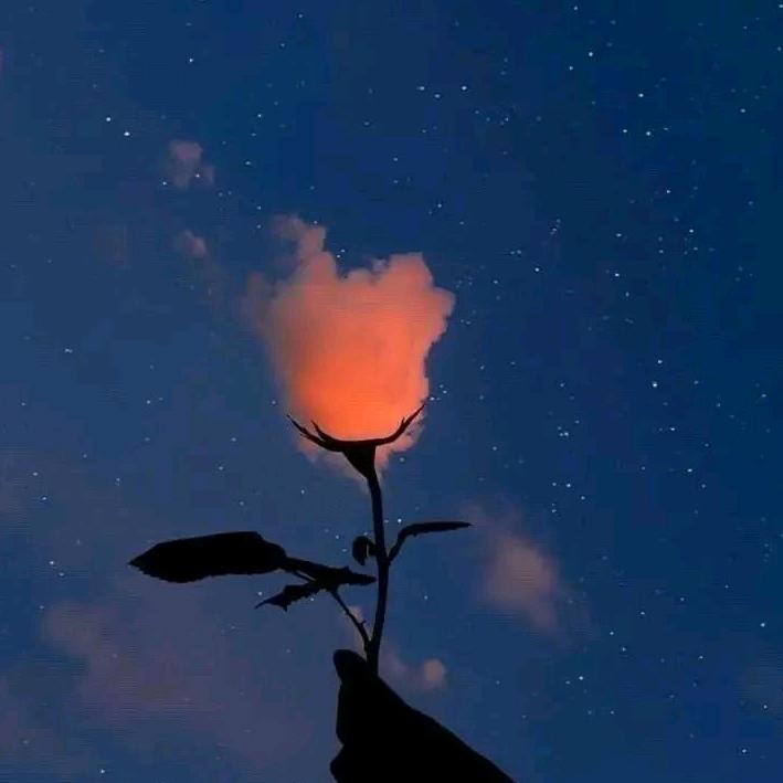 德州装修防水堵漏