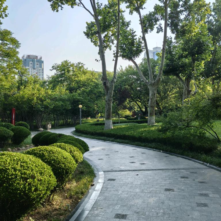 山东小伙