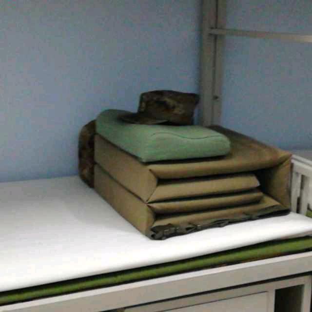 绿色豪情