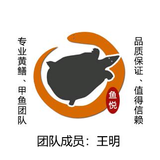 户外王明
