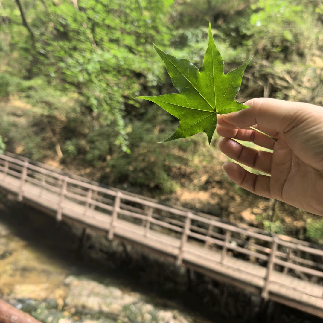 瑞满盈农业-----安之若素