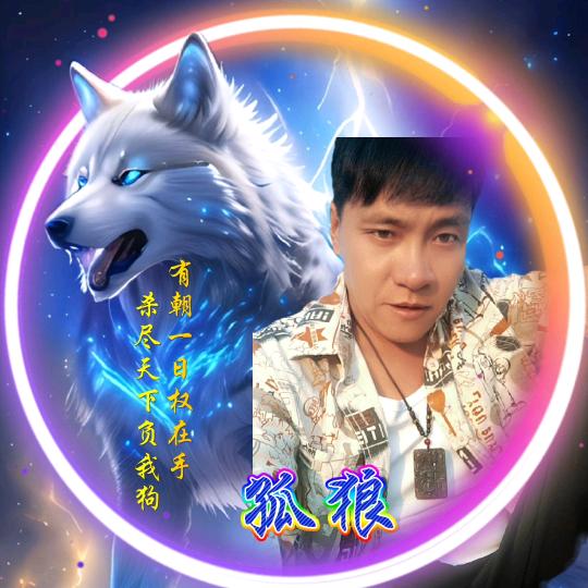 受伤的🐺狼