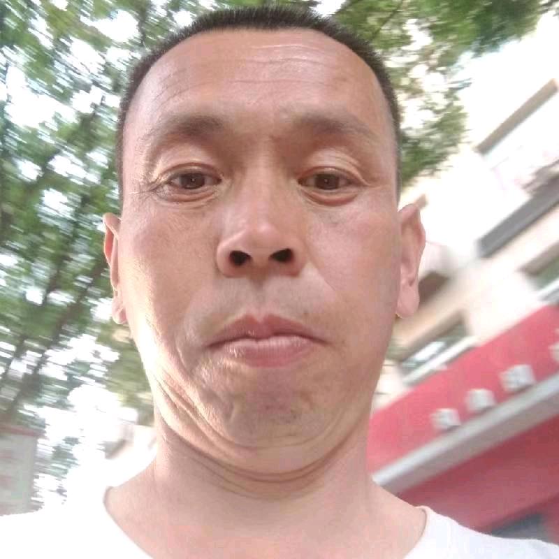 杨利红