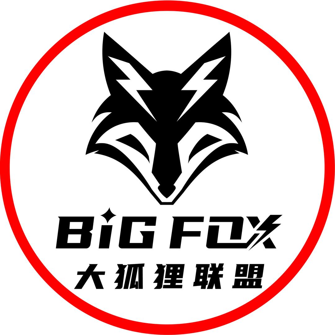 大狐狸联盟 BIG FOX
