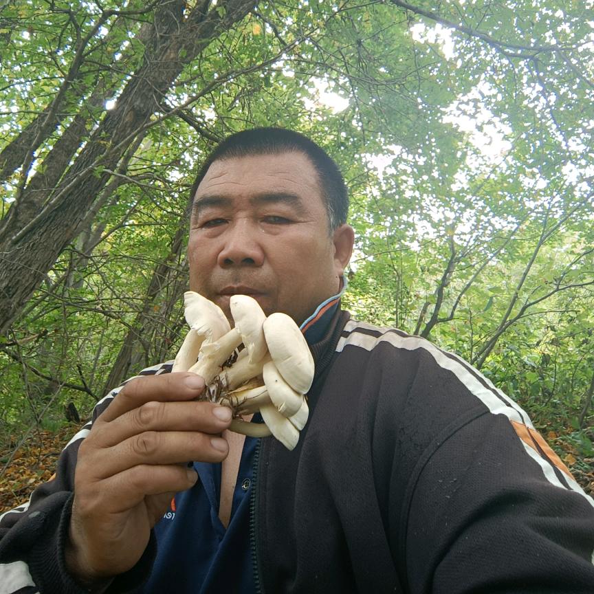 勿忘心安17600