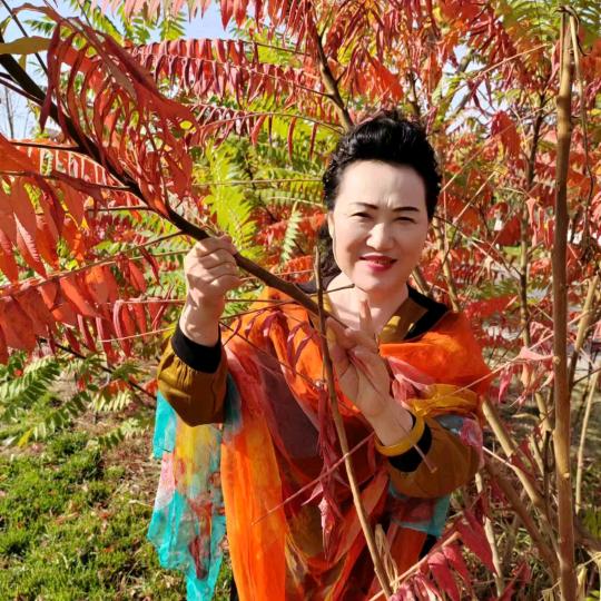 巧媳妇