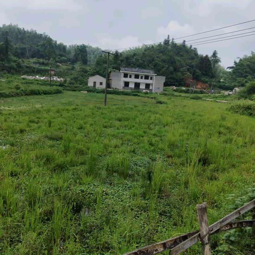知足常乐，平安是福。