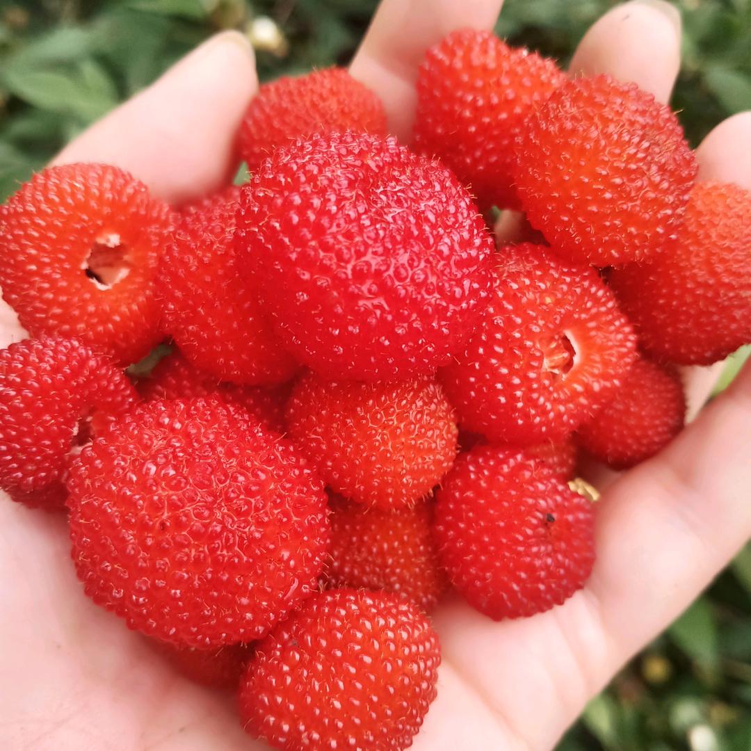 🥀এ᭄为ꦿ心动💔买单ོ࿐ᩚ