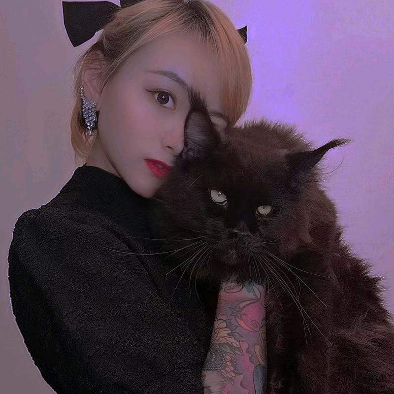 JC家的缅因猫🐱