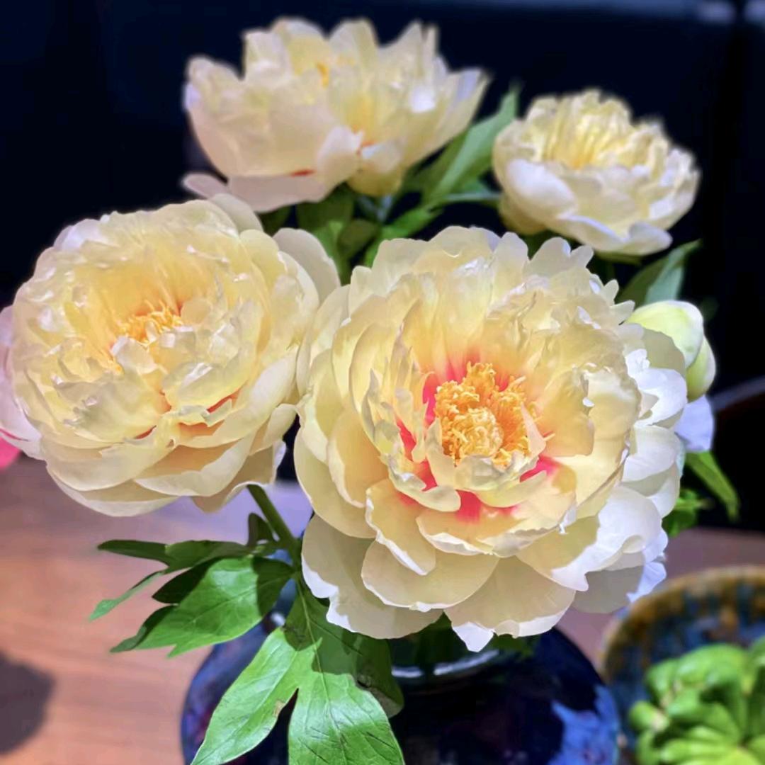 随遇而安🌹