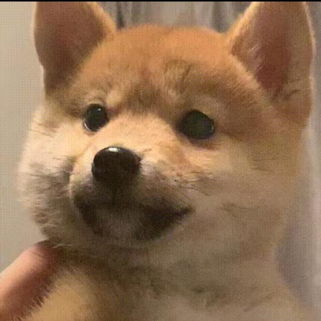 来虚苍真