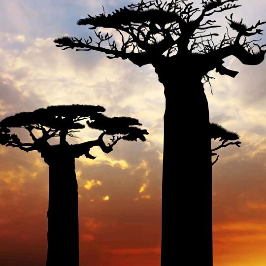 扬帆起航。未来可期