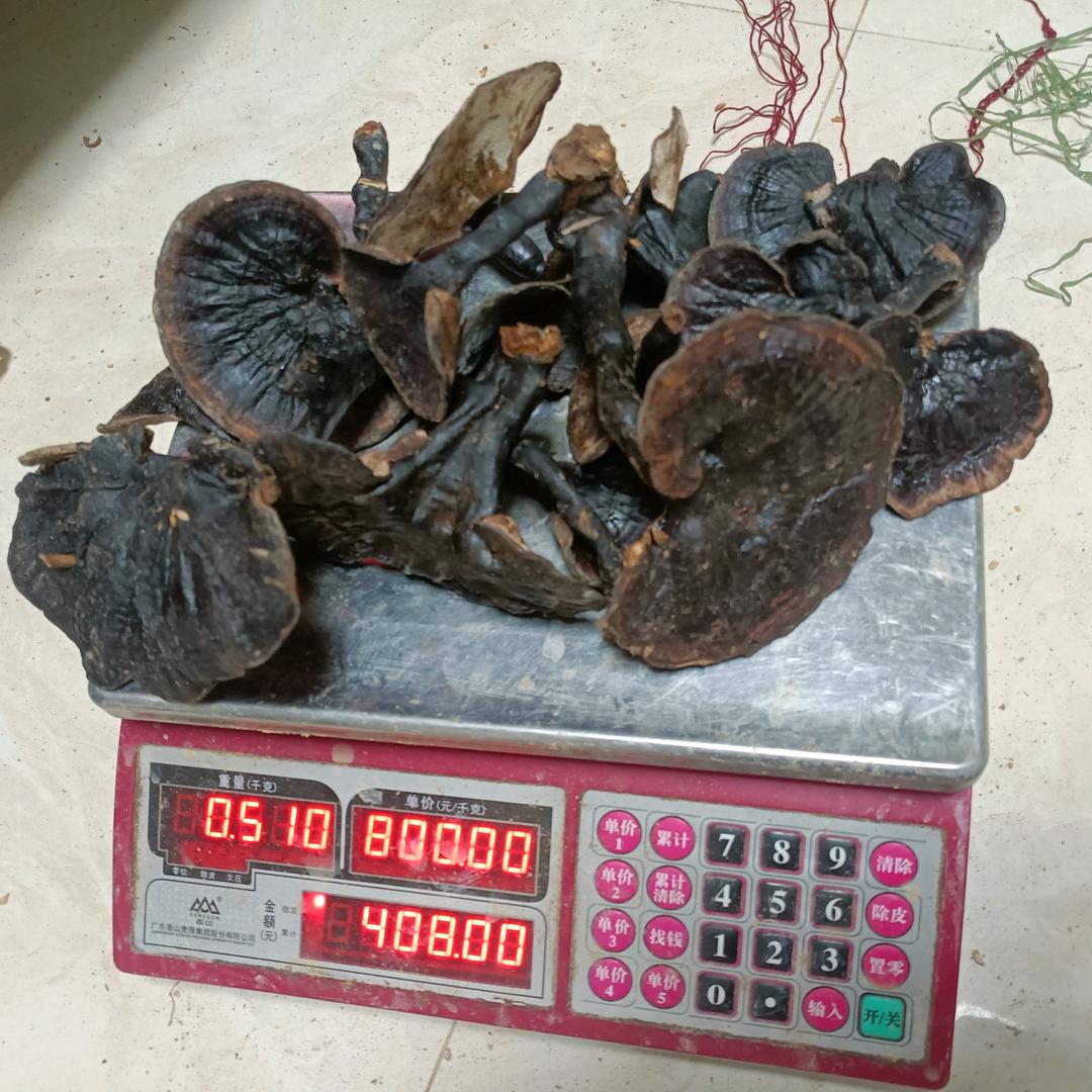 大自然的搬运工（池记）