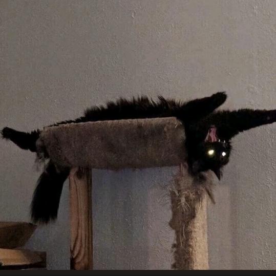 二十