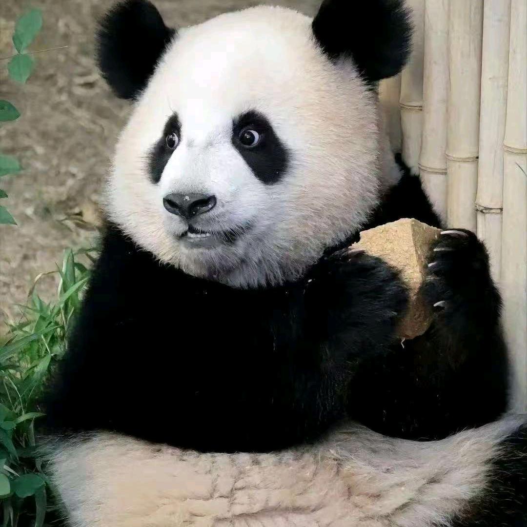 晨🌸玥（收学员）