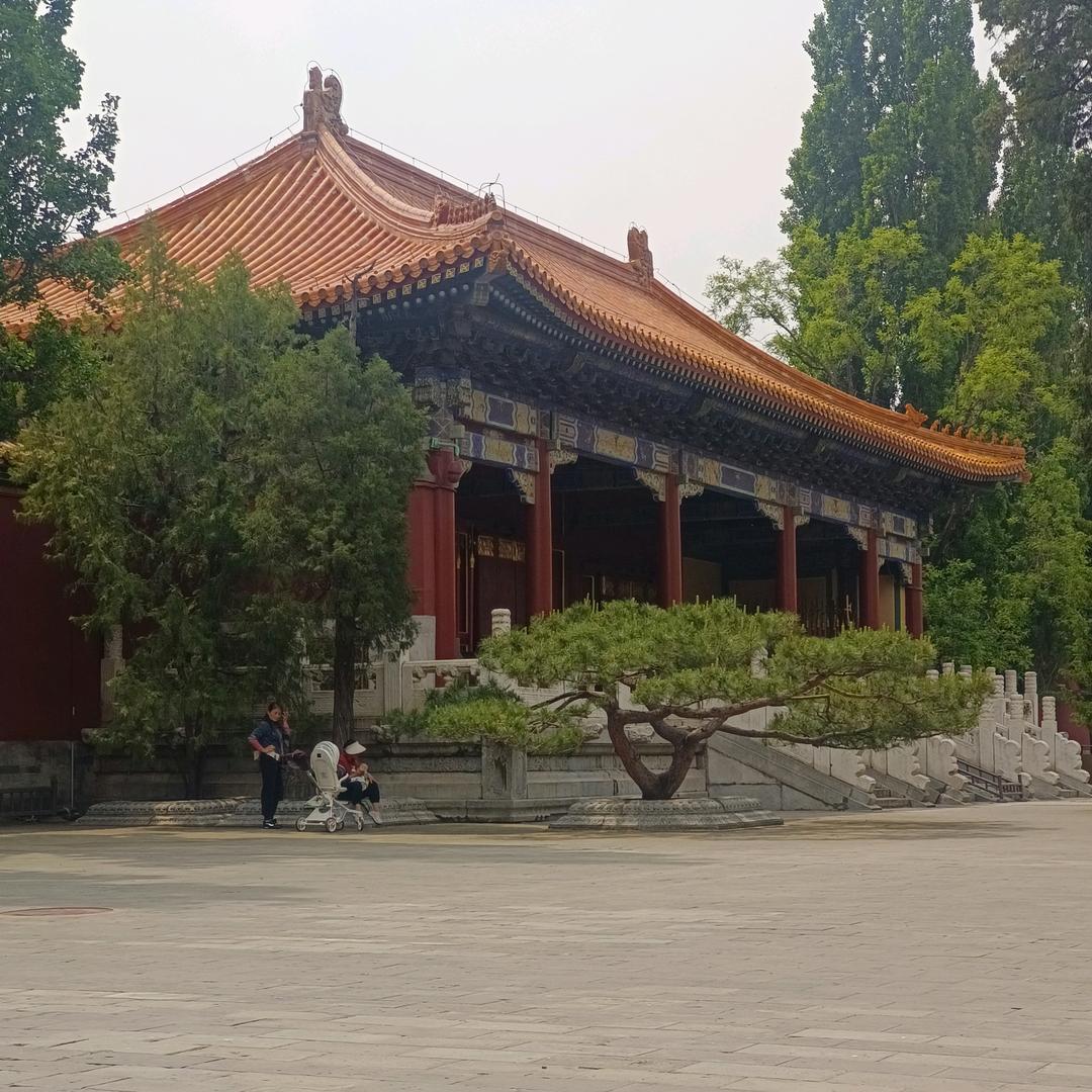 爱你❤️