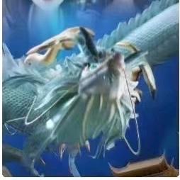 快乐每一天