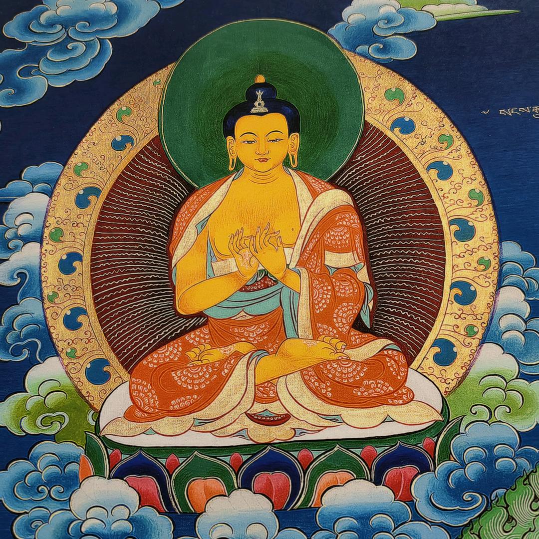 中麦龙好物分享