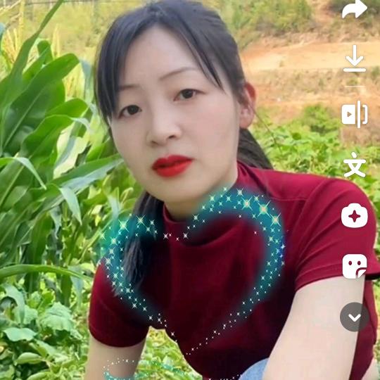 海
