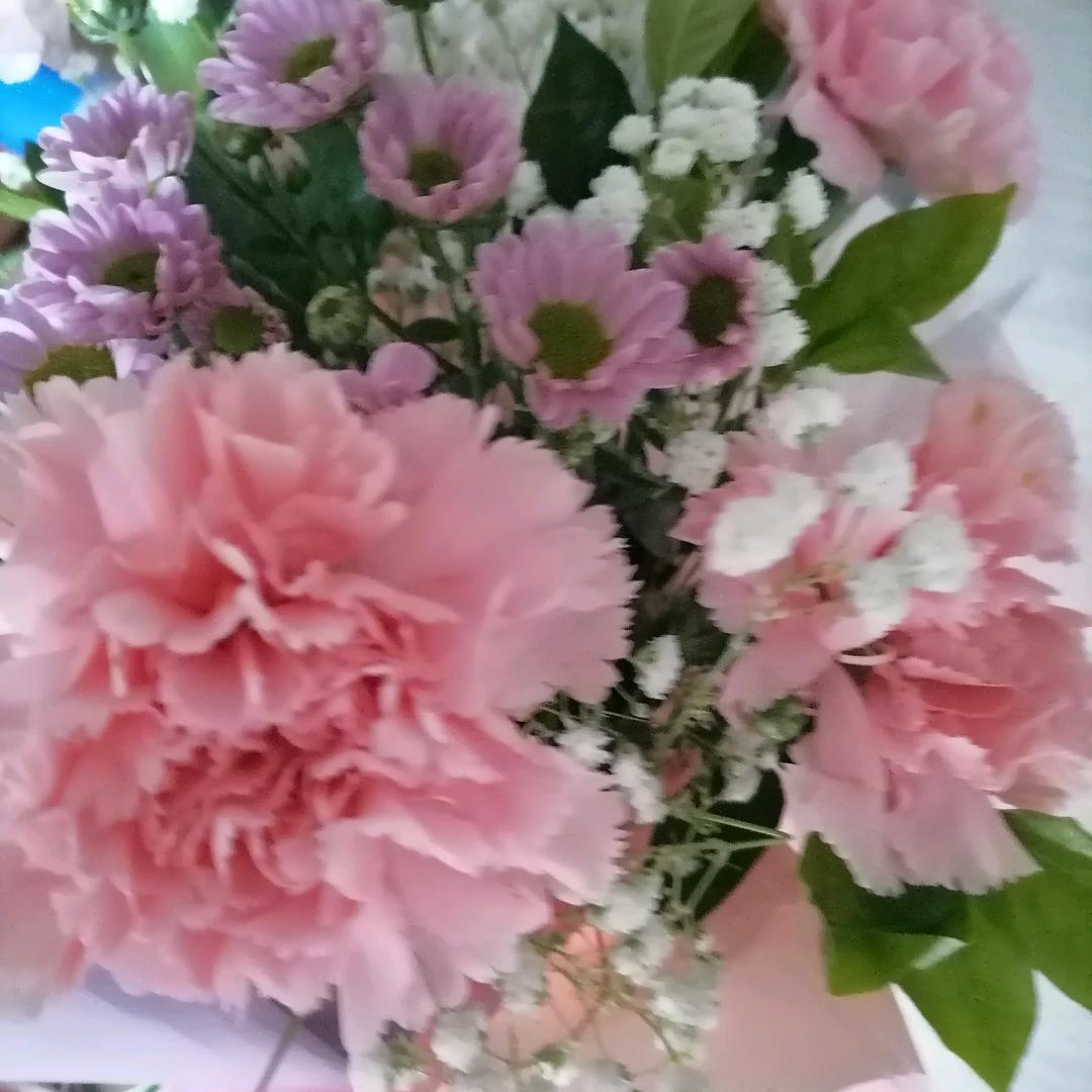 封心锁爱⊙ω⊙