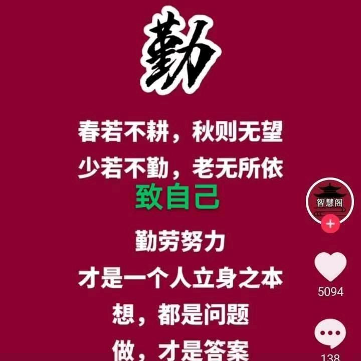 四川杨哥