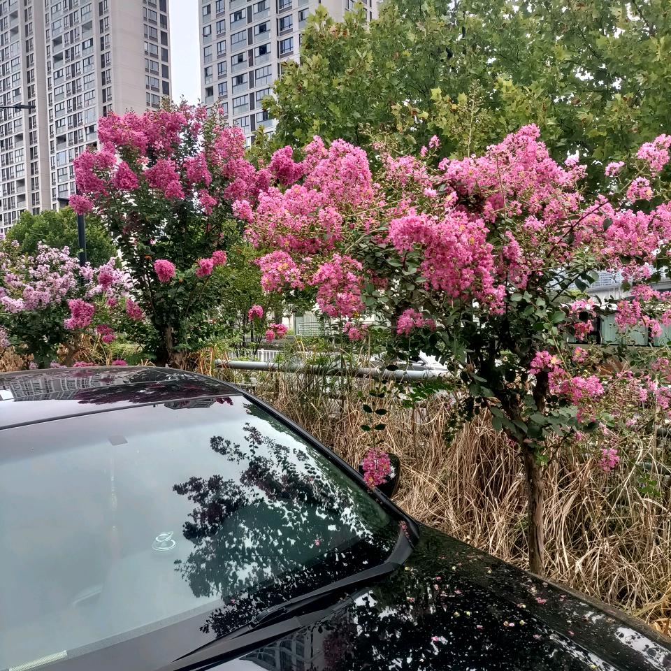 周总