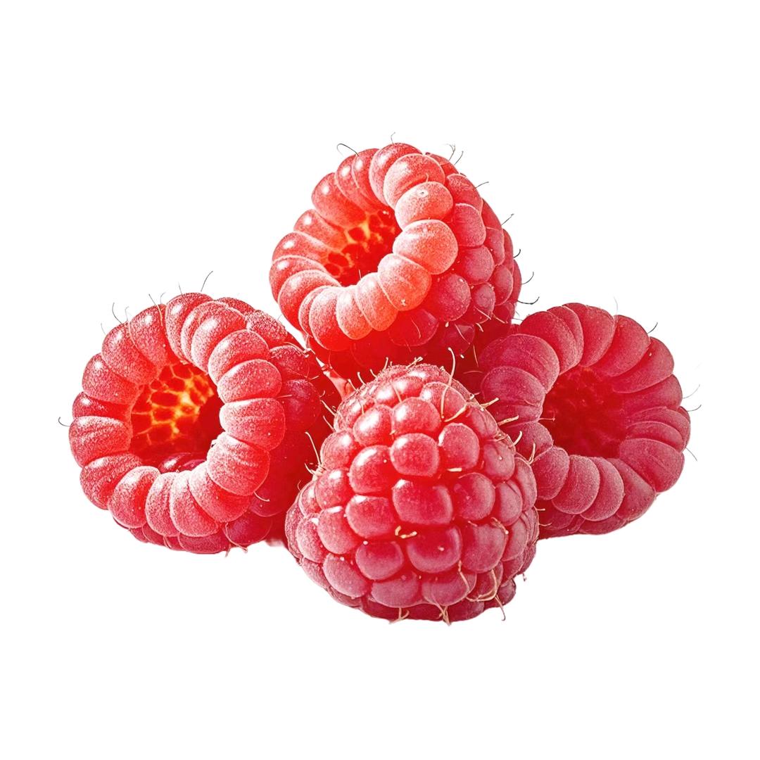 宁夏树莓哥‖现摘空运