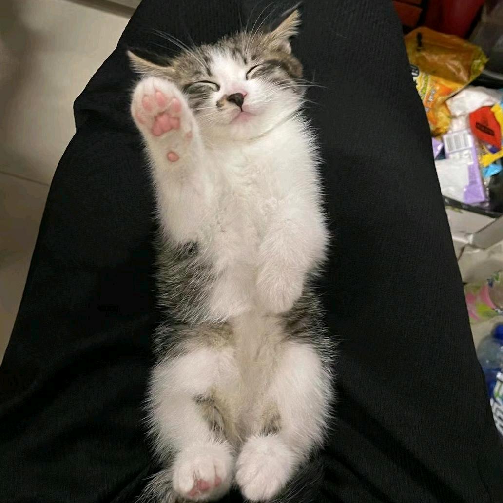 小夕