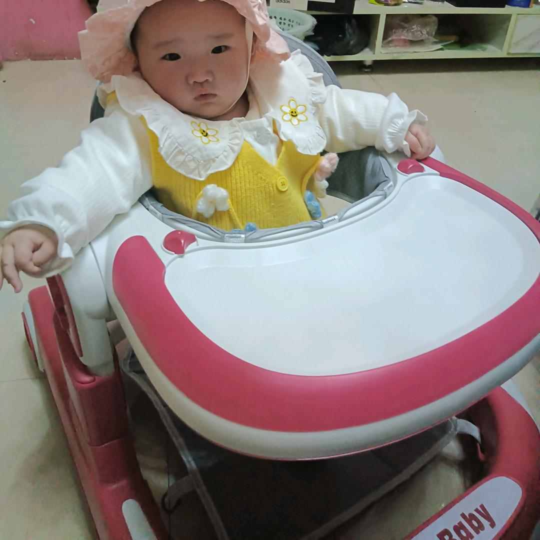 秋伊