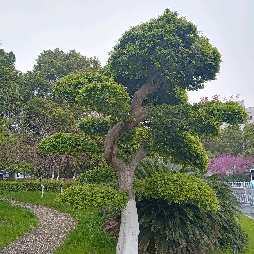 平安是福