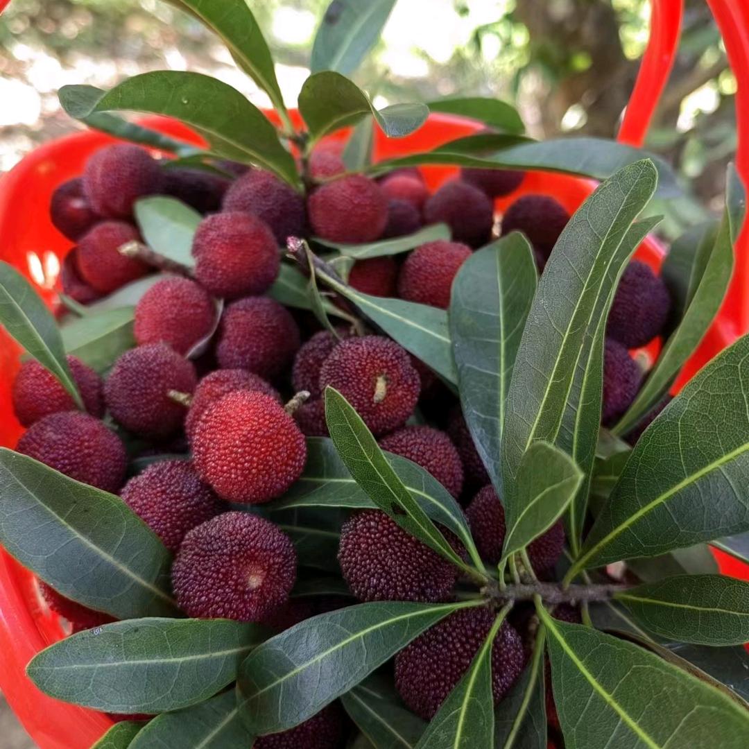 星期八见一面好吗