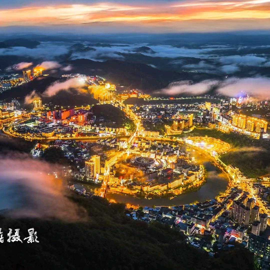 大渔 牡丹 红粉 山樱花专供 小罗