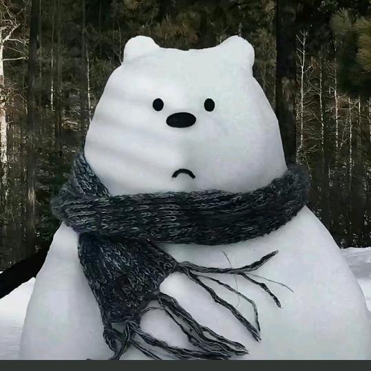 北方的雪落不到南方的街、